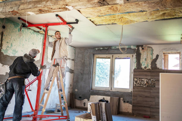 Best Attic Insulation Installation  in Fowlerville, MI