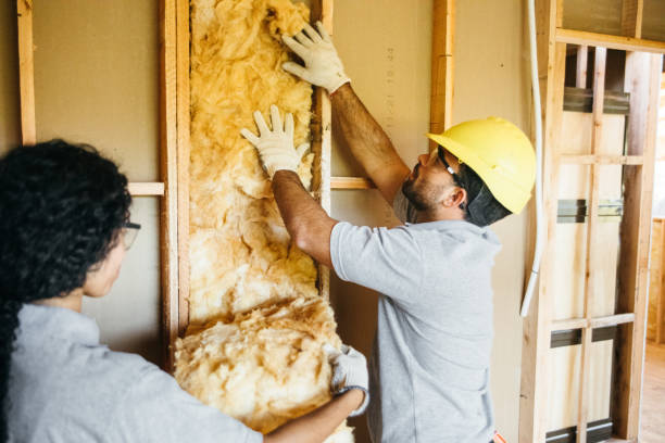 Best Insulation Replacement Services  in Fowlerville, MI