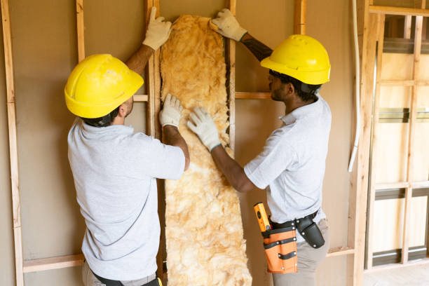 Best Wall Insulation Contractor  in Fowlerville, MI