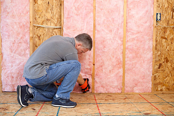 Best Fiberglass Insulation  in Fowlerville, MI