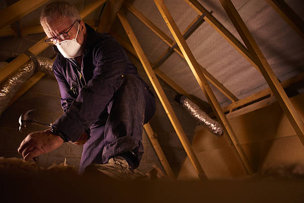 Best Spray Foam Insulation  in Fowlerville, MI
