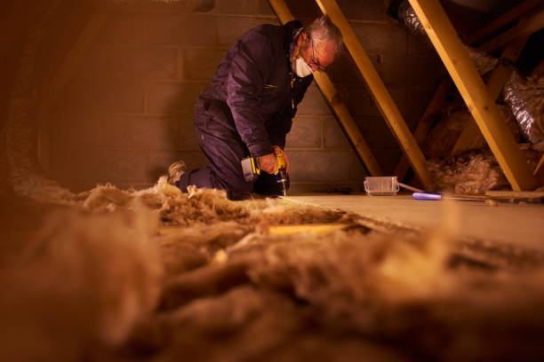 Best Insulation for New Construction  in Fowlerville, MI